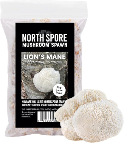 North Spore Log Inoculation Bundle | 100 ct Shiitake, Lions Mane, and Blue Oyster | Wax, Daubers, Drill Bit | Grow Mushrooms on Outdoor Logs | Premium Quality Mushroom Plug Spawn | Handmade in USA