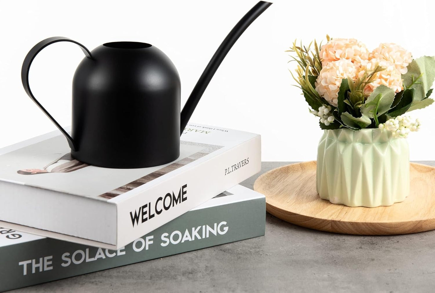 IMEEA Small Watering Can for Indoor Plants Stainless Steel Watering Can with Long Spout 15oz/450ml, (Black)