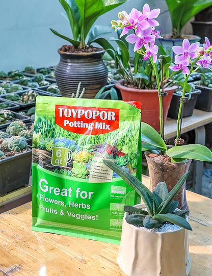 TOYPOPOR Perlite for Plants, (6qt) 3-6mm Organic Perlite for Gardening, Perlite for Plants Indoor, Soil Additive Conditioner Mix Improve Drainage and Ventilation Promote Root Growth and Soil Health