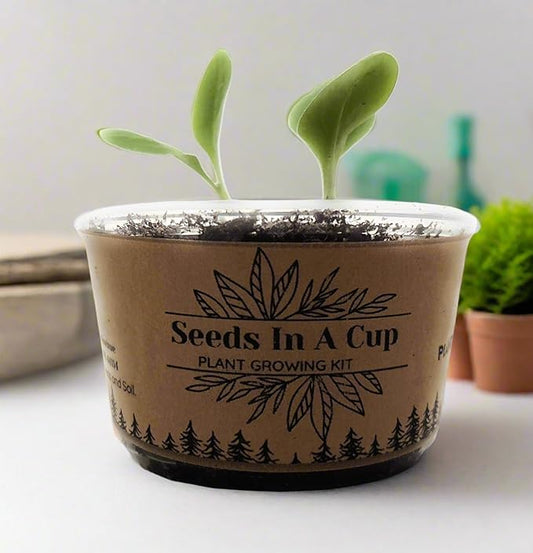 Peach Tree | Seeds In A Cup: Tree Starter Kit | Easy to use | Educational | Memorial Gift | Plant It for The Planet | Grow Your Own Tree |