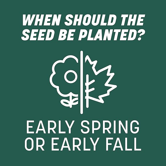 Pennington Smart Seed Sun and Shade Tall Fescue Grass Seed Mix for Southern Lawns 3 lb