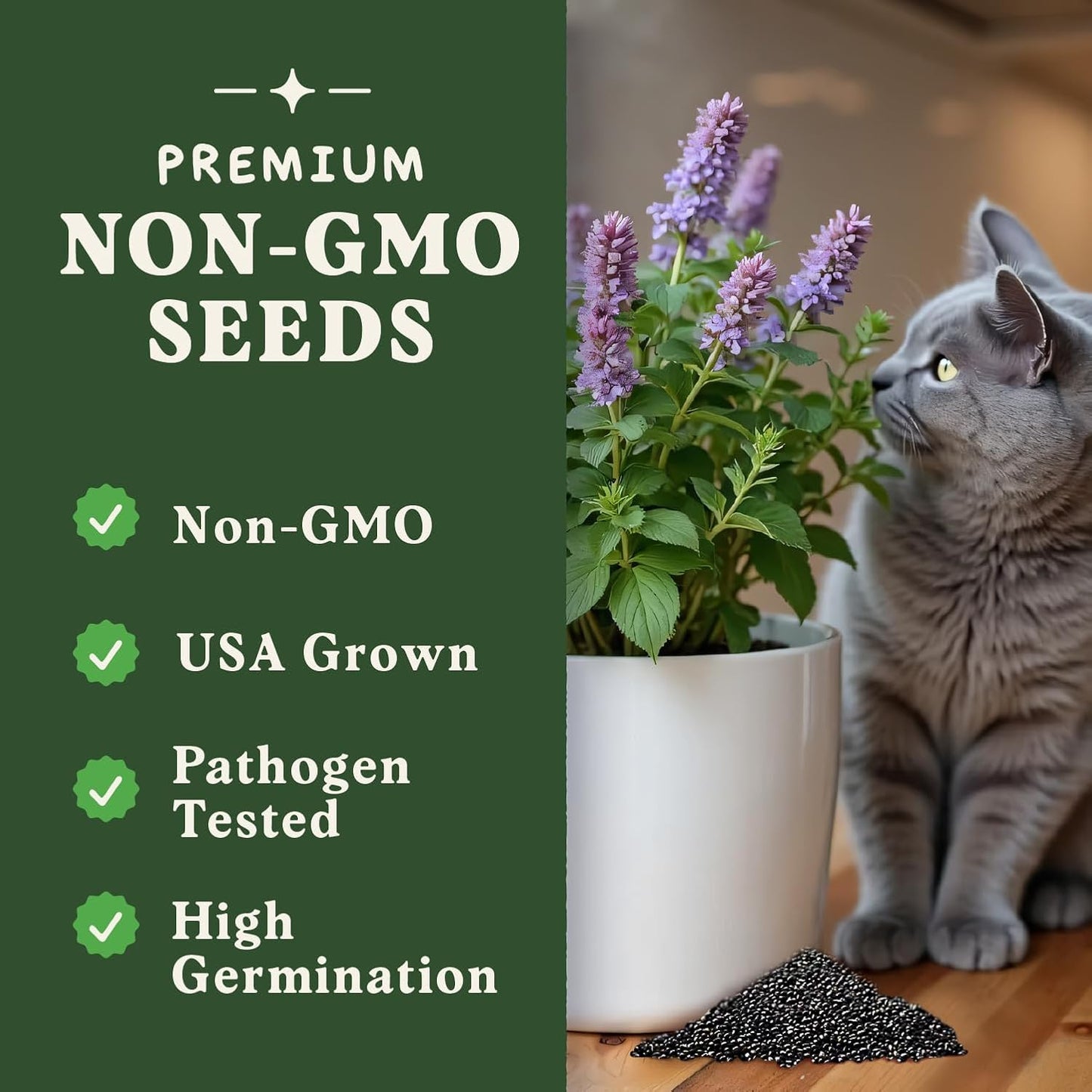 Seedboy Catnip Seeds for Planting Indoor and Outdoor, Non-GMO Herb Seed Packet for Hydroponic Garden Indoor or Planting Outdoors (Catnip)