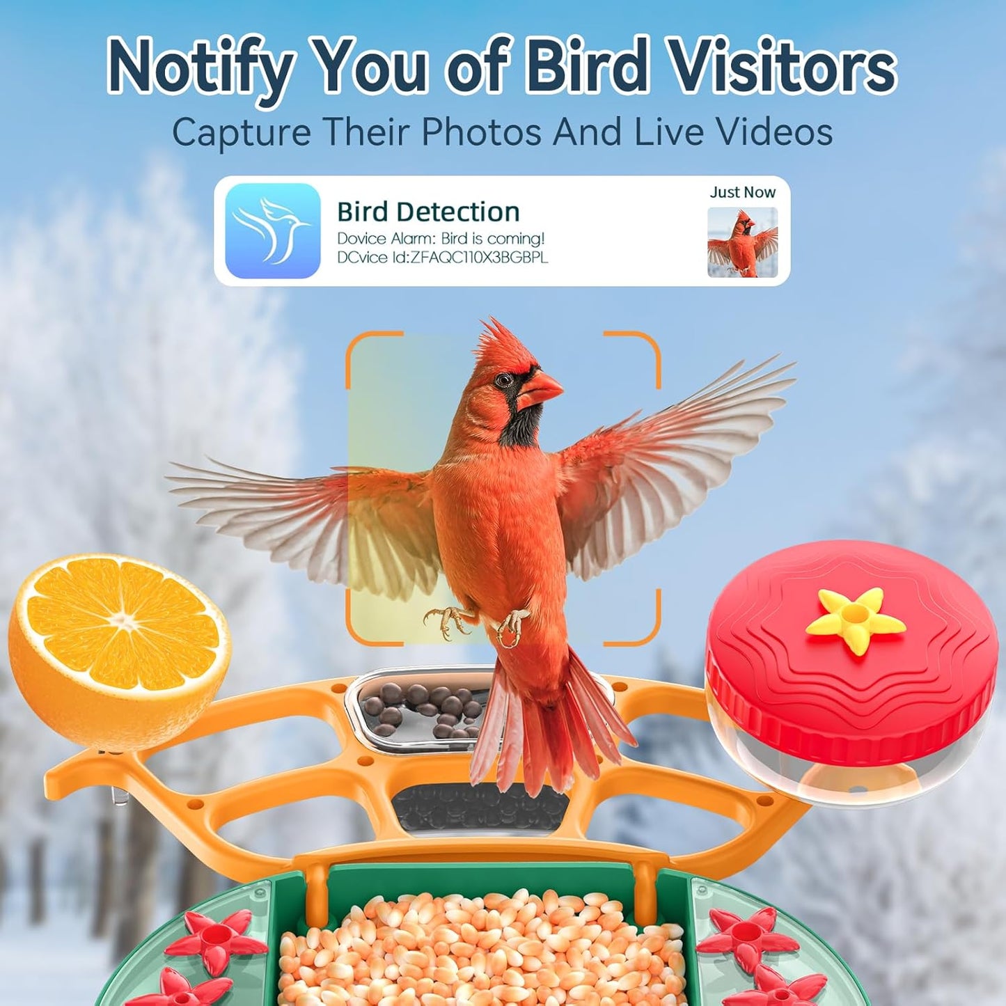 Solar-Powered Smart Bird Feeder with Camera Solar Powered,2K Video Recording, Auto Bird ID & Extensive DIY Accessories,2 in 1 Hummingbird Feeder Camera Ideal Present for Bird Lovers (Green)