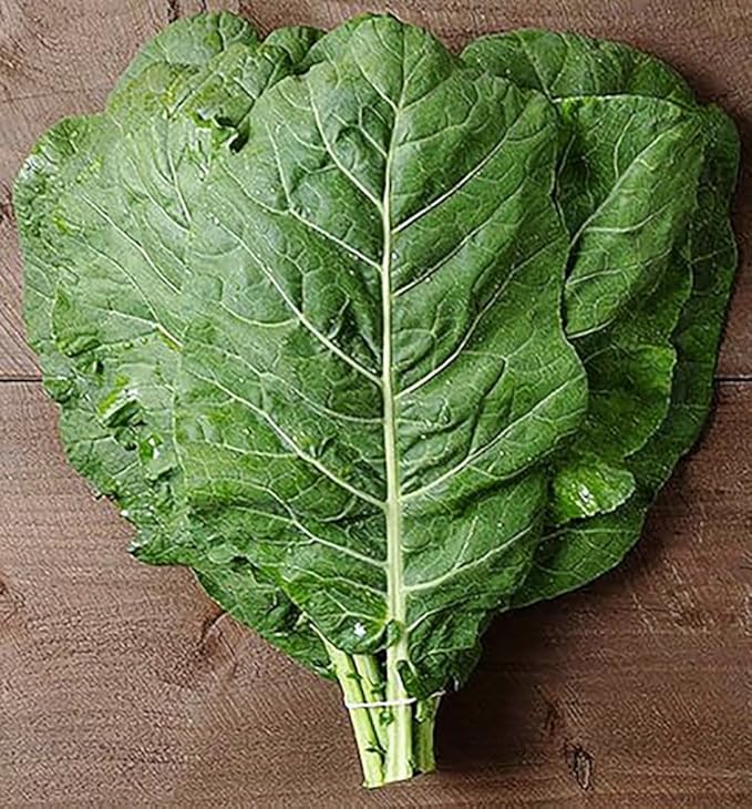 Georgia Southern Collard Seeds - Dark Blue-Green Cabbage-Like Delicious Leaves - Large Package