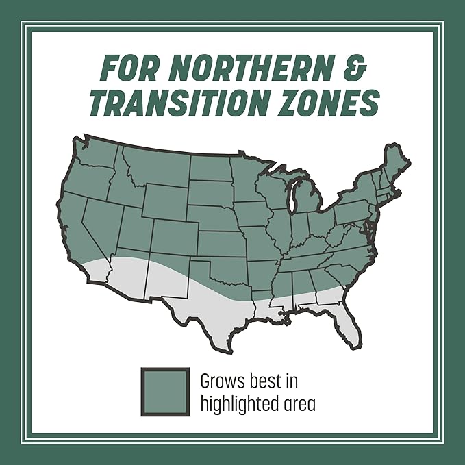 Pennington Kentucky 31 Tall Fescue Penkoted Grass Seed 40 lbs