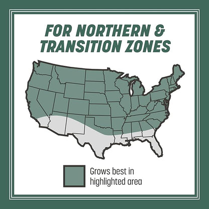 Pennington Kentucky 31 Tall Fescue Penkoted Grass Seed 40 lbs