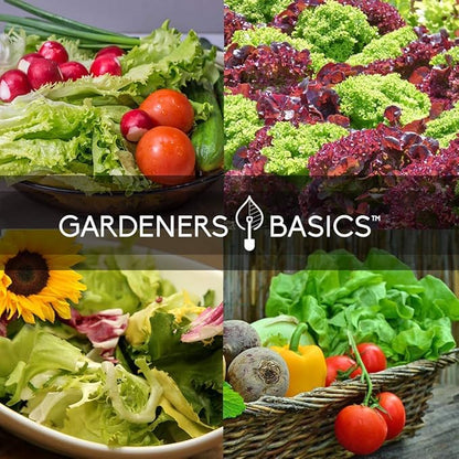 Gardeners Basics Lettuce and Greens Heirloom Vegetable Seed Non-GMO Seeds for Planting Indoors and Outdoor - Lettuce Buttercrunch, Romaine, Arugula, Kale and Spinach, Pack of 5