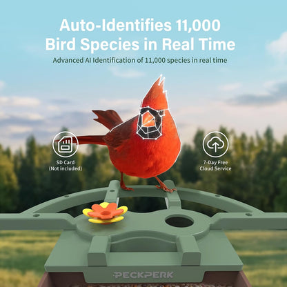 Smart Bird Feeder with Camera Solar Powered Outdoor - 2K HD Live Video, AI Bird ID, Squirrel-Proof, Instant Alerts & IP65 Weatherproof Outside, Great Gift for Familys & Friends