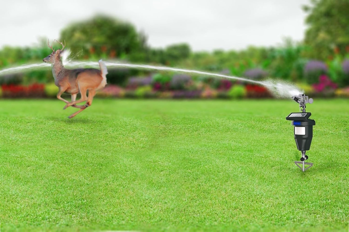 Motion Activated Sprinklers for Yard - Cat & Deer Repellent Devices, Raccoon & Dog Deterrent, Skunk & Cat Repellent for Yard, Scarecrows for Outside, Yard Maintenance Must Haves (2 Pack)