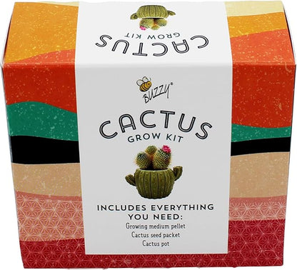 BUZZY Seeds 4pk Mini Cactus Grow Kit with Ceramic Planter, Succulent Seeds, Growing Medium, Easy Instructions, Indoor Gardening Gift for Beginners, Birthdays, Housewarming and Home or Office Décor