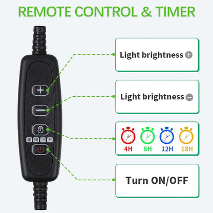 LED Plant Grow Light Clip on, Gooseneck 6000K Full Spectrum Growing Lamp for Indoor Desk Small Pots Plants, Dimmable with Timer 4 8 12 18Hrs 2 Pack