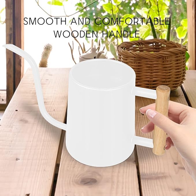 Watering Can Indoor Plants, 35 oz/1000 ml Metal Stainless Steel Watering Can Pot with Long Spout for Indoor House Plants Bonsai Outdoor Garden Flower Decorative (White)