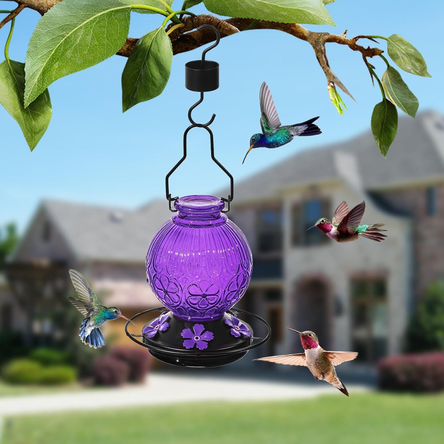 Glass Hummingbird Feeders for Outdoors Hanging, 23Oz Humming Bird Nectar Feeders with Perch, 5 Flower Feeding Ports, Leak Proof Base and Hook for Garden Decor, Gifts for Mom Women (Purple)
