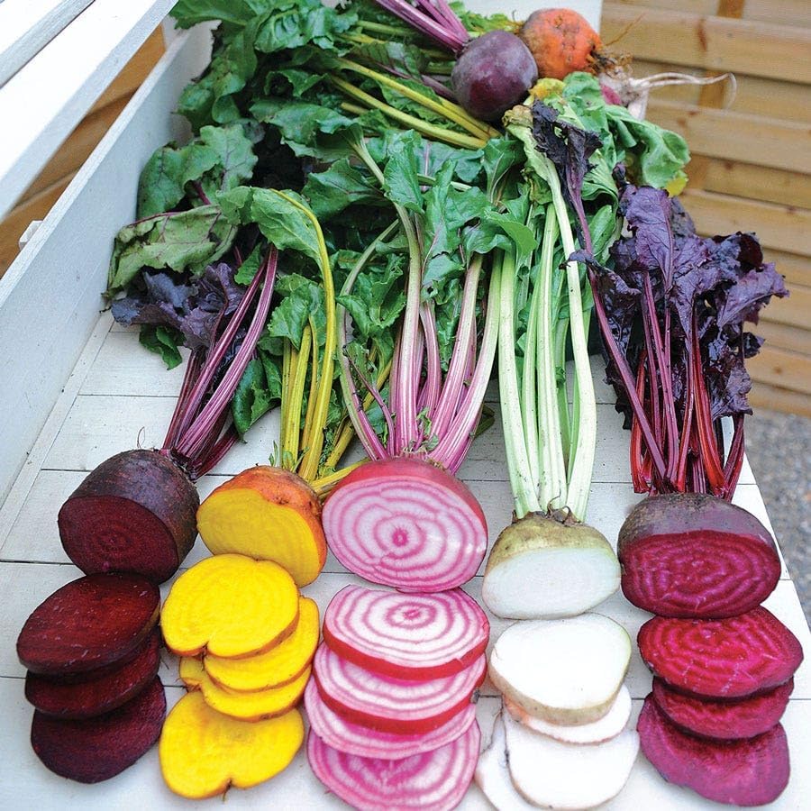 Park Seed Sow Effortless Collection Seed Tape – Rainbow Mix Beet, 15 Feet – Easy Planting, 5 Distinct Gourmet Varieties, Colorful Roots & Greens, Cool-Weather Crop, No Thinning, 50–55 Days to Maturity
