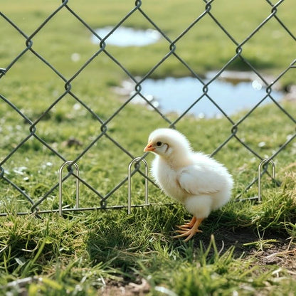 AAGUT 100x Metal Garden Stakes Tent Drip Line Irrigation Stakes,12 Inch Round Top Yard Chicken Wire Staples,Soaker Hose Tubing Spikes Landscape Fabric Staples, Sod Fence Lawn Ground Weed Barrier Pins