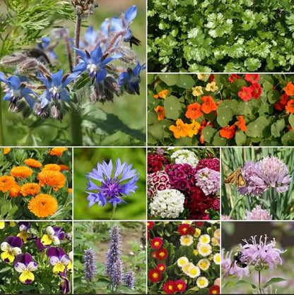Ferry-Morse Edible Flower Mix Bulk Flower Seeds, 1lb