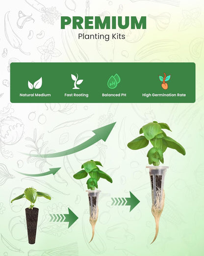 RAINPOINT 60pcs Grow Sponges for Hydroponics, Replacement Root Growth Sponges Compatible with All Indoor Gardening Systems, Seed Starter Pods for Hydroponic Indoor Garden System