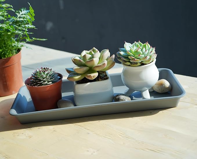 6 Pack Rectangular Plastic Plant Tray Saucer, Gray, 6.5 X 13 Inch, Indoor/Outdoor, High Load Bearing, Water Resistant