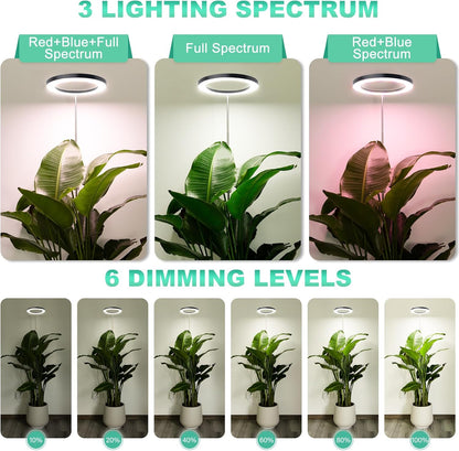 LORDEM 10" Full Spectrum Plant Light, 160 LEDs Large Grow Light for Indoor Tall Plants, Growing Lamp with 4/8/12H Auto Timer, 10 Dimmable Levels, 3 Spectrum Modes, 65" Height Adjustable, Pack of 2