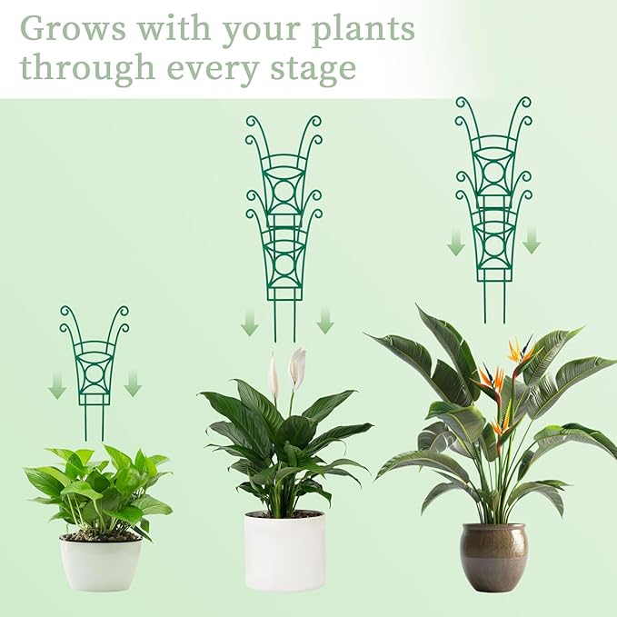 8 Pack Trellis for Potted Plants, Stackable Indoor Plant Trellis for Climbing Plants, Garden Trellis Outdoor for Flower Vine Lvy Hoya Houseplants Plant Support