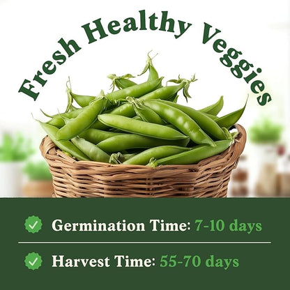 Seedboy Organic Sugar Snap Pea Seeds for Planting Indoor and Outdoor, Non-GMO and USDA Certified Vegetable Seed Packet for Hydroponic Garden Indoor or Planting Outdoors (Sugar Snap Peas)