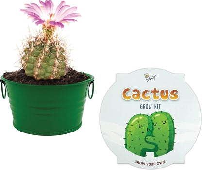 Buzzy Seeds Kid's Cactus Mini Basin Grow Kit | Green Painted Basin | Guaranteed to Grow | Fun Indoor-Outdoor Gardening Gift for Kids