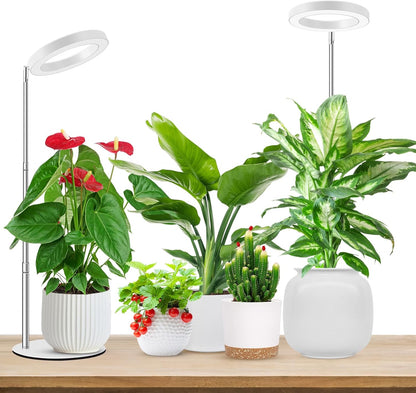 Grow Lights for Indoor Plants, Full Spectrum Plant Lights for Indoor Growing, 9.8"-37.4" Height Adjustable Desk Grow Lamp with Auto Timer 6/12/16Hrs, 3 Optional Spectrums, 5 Brightness,2 Pack