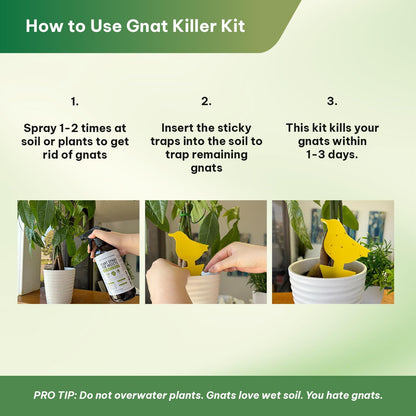 Kate's Home & Garden Plant Spray for Insects & Getting Rid of Gnats with 12 Sticky Traps. Fungus Gnat Killer & Bug Spray for Indoor Plants (16oz, Peppermint, Pet Safe, Non Toxic)