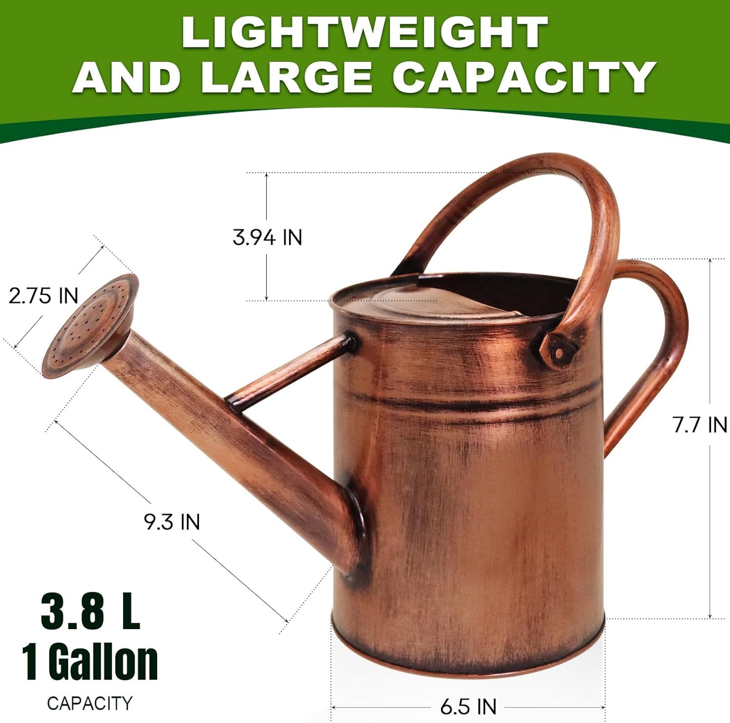 Metal Watering Can with Removable Spout, Galvanized Watering Can, Perfect for Indoor Use and for Outdoor Use (1 Gallaon, Metal)