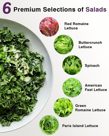Salad Greens Seed Pod Kit for AeroGarden, iDoo with Red and Green Leaf, Romaine and American Fast, Buttercrunch, Parris Island Lettuce, Spinach - Compatible with All Hydroponics (7-Pod)