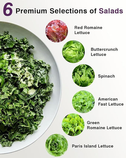 Salad Greens Seed Pod Kit for AeroGarden, iDoo, Ahopegarden, MUFGA with Red/Green Romain/American Fast/Buttercrunch/Parris Island Lettuce, Spinach - Compatible with All Garden (12-Pod)