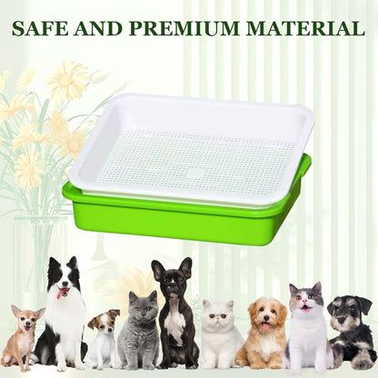 10 Pack Seed Sprouter Tray, Sprouter Microgreens Growing Kit BPA Free Nursery Tray Big Capacity Sprouts Growing Kit for Indoors or Outdoors Sprouting Seeds, Cat Grass, Beans, Wheatgrass