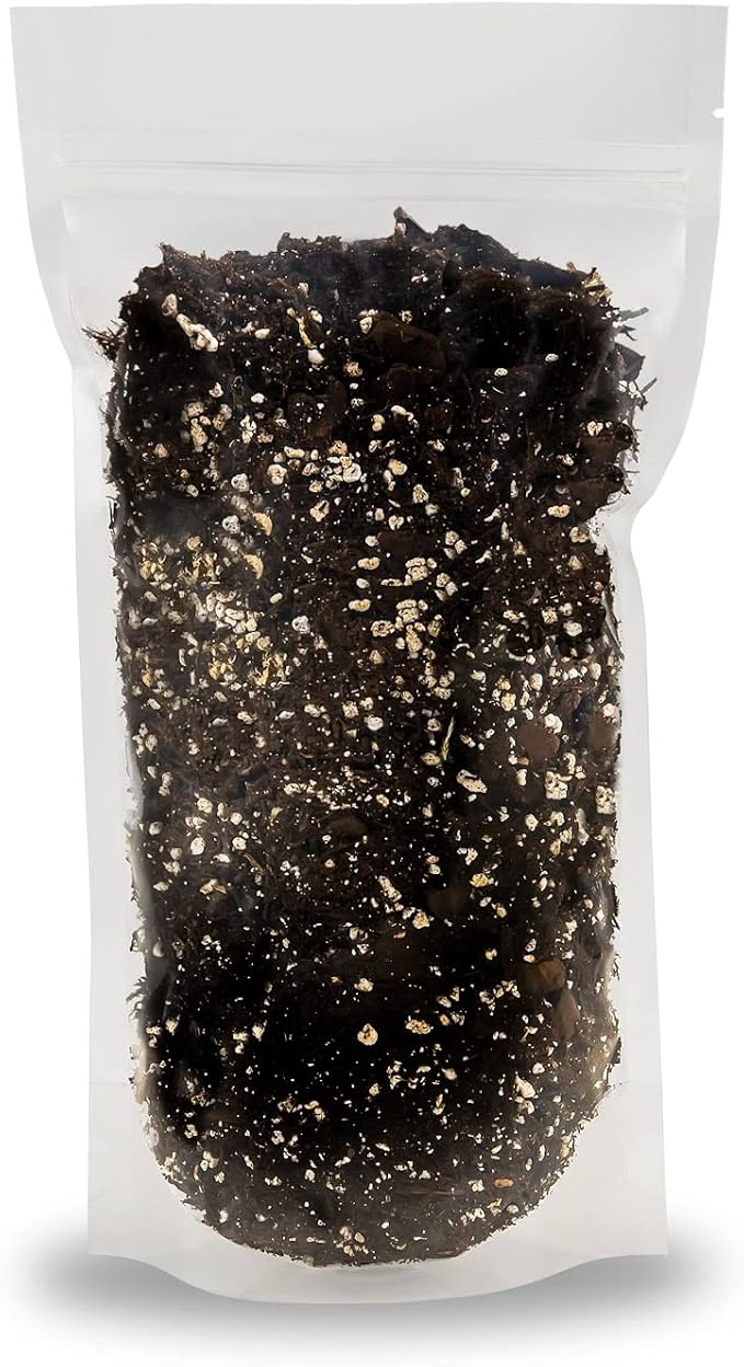 Gardenera Alocasia Plant Potting Soil - All-Natural Blend for Thriving Alocasia Plants - Boosts Root Health and Distinctive Foliage - 10 Quart