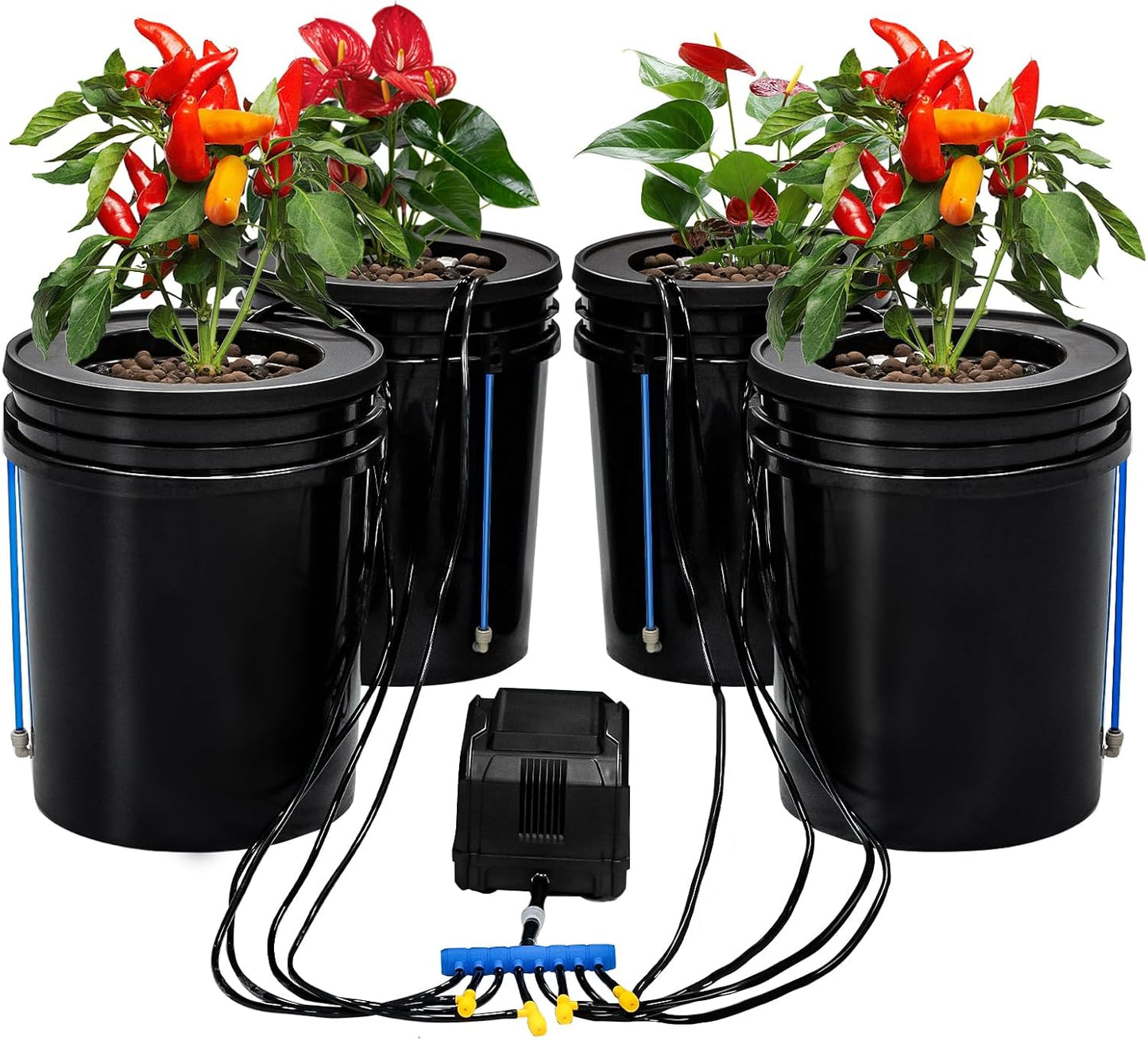 Hydroponics Growing System Kit with Top Drip 5 Gallon 4-Bucket Recirculating DWC Hydroponic System Kit Not Easy to Leak for Growing Plants Indoors and Outdoors (4-Bucket+Top Drip)