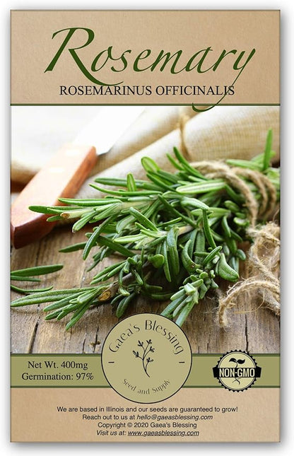Gaea's Blessing Seeds - Rosemary Seeds - Heirloom Non-GMO Seeds with Easy to Follow Instructions 97% Germination Rate (Single Pack)