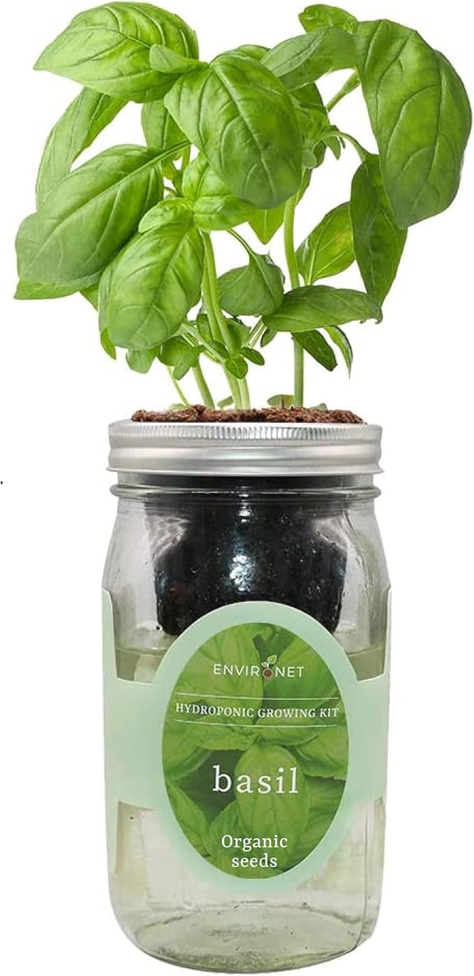 Hydroponic Growing Kit, Self-Watering Mason Jar Herb Garden Starter Kit Indoor, Windowsill Herb Garden, Grow Your Own Herbs from Organic Seeds (Basil)
