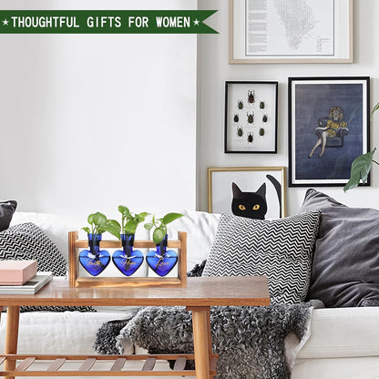 Plant Terrarium Propagation Stations Faith Hope Love Hydroponics Home Garden Decoration Gift for Women with Wooden Stand Heart Shaped Colored Glass Vase