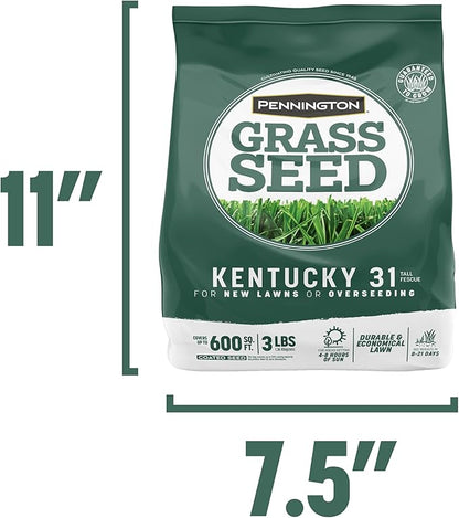 Pennington Kentucky 31 Tall Fescue Penkoted Grass Seed 3 lb, Green (Pack of 2)