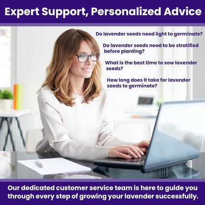 NatureZ Edge1500 English Lavender Seeds for Planting Outdoors or Indoors, 90% Germination, Lavender Plants, Non-GMO, Heirloom Herb Seeds (1 Pack)