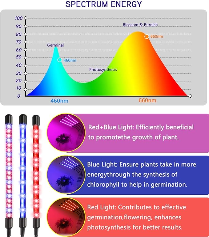 Plant Grow Lights for Indoor Plants Full Spectrum,80 LED Plant Lights for Indoor Growing with Timer, 4 Head Clip Indoor Plant Grow Lamp for House Plants with 3 Lighting Mode/10 Brightness