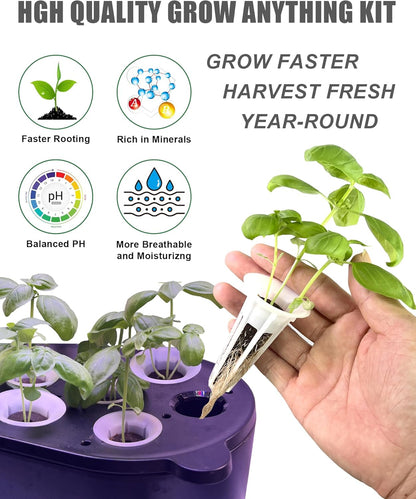 167 Pcs Hydroponic Seed Pods Kit Supplies for Aerogarden Pods,60 Grow Sponges,15 Grow Baskets,15 Grow Domes,60 Pod Labels,15 Labels,2 A&B Plant Food - Hydroponic Supplies Compatible with Most Brands