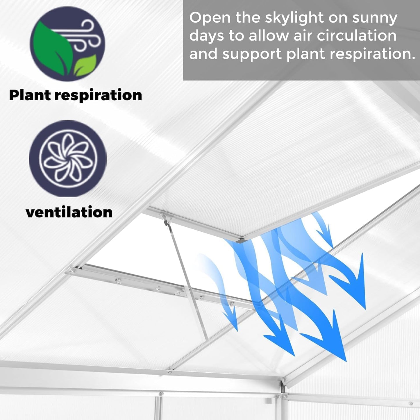 6 x 6 FT Greenhouse for Outdoors,Aluminum Walk-in Greenhouse,Silver
