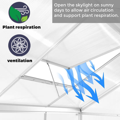 6 x 6 FT Greenhouse for Outdoors,Aluminum Walk-in Greenhouse,Silver
