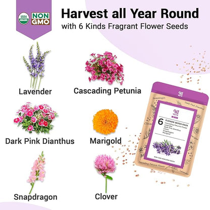 Flower Seed Pod Kit, Grow Anything Kit for All Hydroponics Growing Systems, 14 Pods with 600+ Seeds of Cascading Petunia Flower/Lavender/Dark Pink Dianthus/Clover/Snapdragon/Marigold