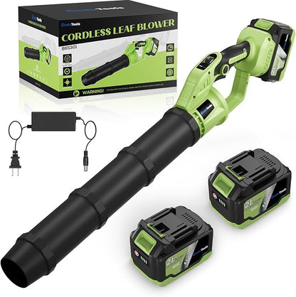 Cordless Leaf Blower - 650 CFM Brushless Electric Leaf Blower with 2 x 6.0Ah Batteries & Fast Charger, 2 Speed Modes, Battery Powered Leaf Blowers for Lawn Care, Patio, Dust, Snow Care (Light Green)