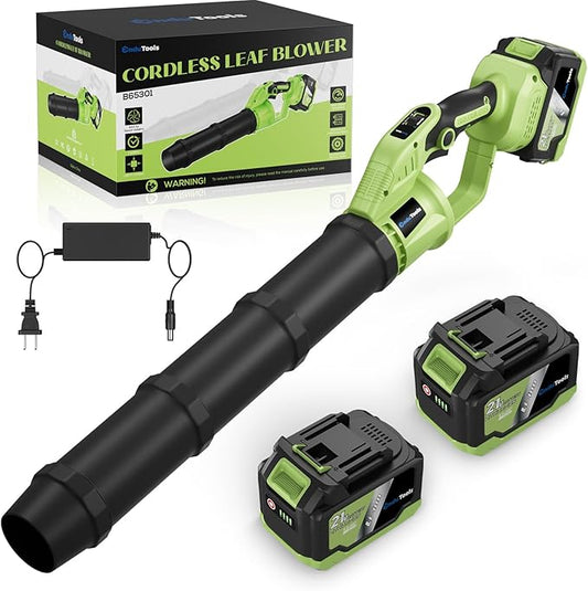 Cordless Leaf Blower - 650 CFM Brushless Electric Leaf Blower with 2 x 6.0Ah Batteries & Fast Charger, 2 Speed Modes, Battery Powered Leaf Blowers for Lawn Care, Patio, Dust, Snow Care (Light Green)