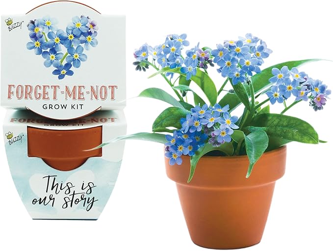 BUZZY Seeds Forget-Me-Not Terracotta Mini Grow Pots Love Collection, 12-Pack All-in-One Gardening Kit for Wedding Favors, Baby Shower Prizes, Birthday Gifts, or Party Favors