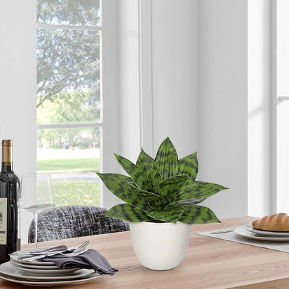 Hollyone Artificial Snake Plants 9" Faux Agave Succulent Plant Potted in White Pot Fake Sansevieria Aloe Tropical Plant for Desk Modern Office Home Bathroom Indoor Outdoor Decor