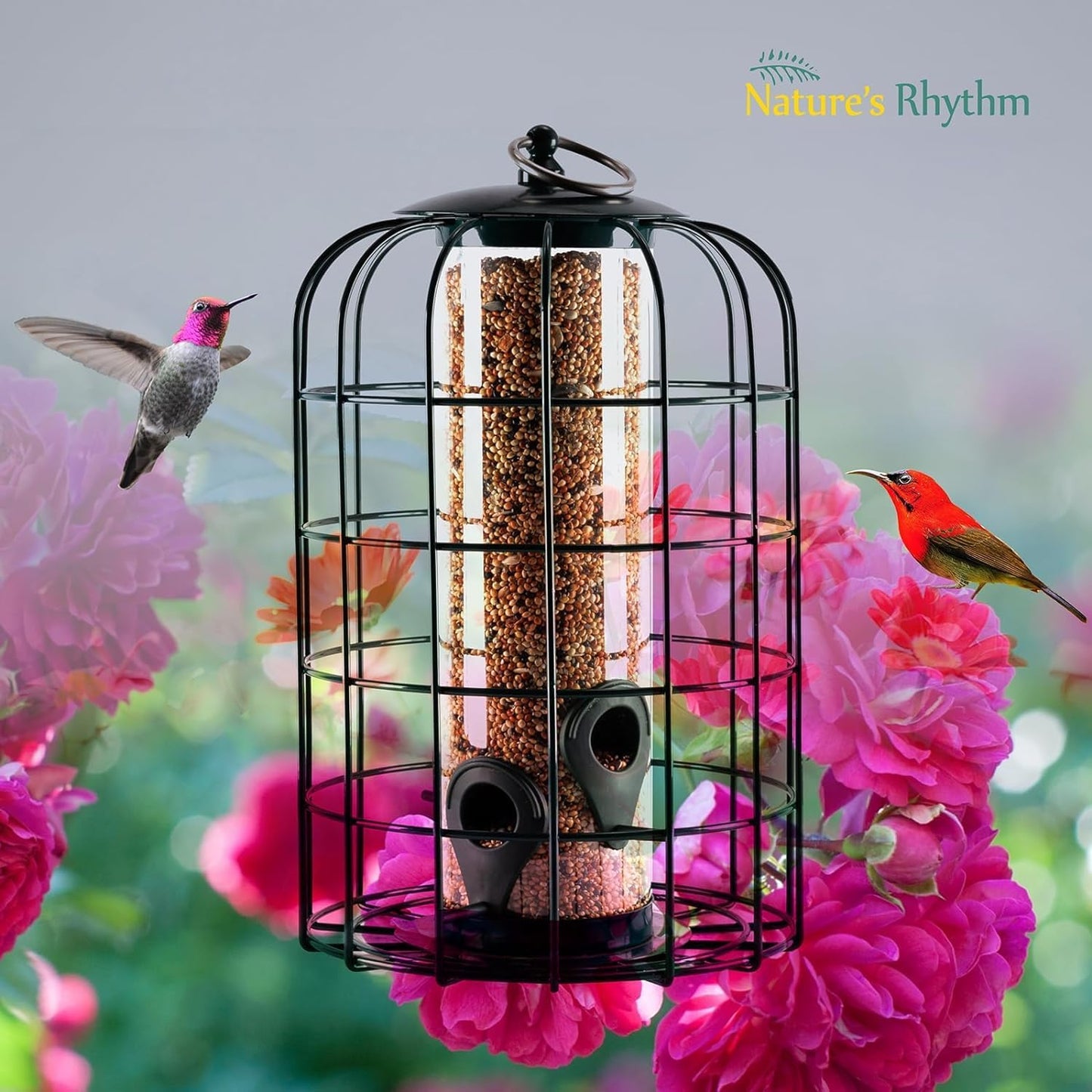 Nature's Rhythm Outdoor Hanging Bird Feeder Cage PC Tube Squirrel Proof Wild Bird Feeder with Large Metal Seed Guard Deterrent
