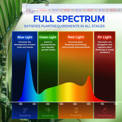 Indoor Greenhouse with Grow Light, Ohuhu 4-Tier Mini Green House for Winter - Full Spectrum Greenhouses for Seed Starting Small Portable Green Houses Waterproof PVC Cover & Adjustable Shelves